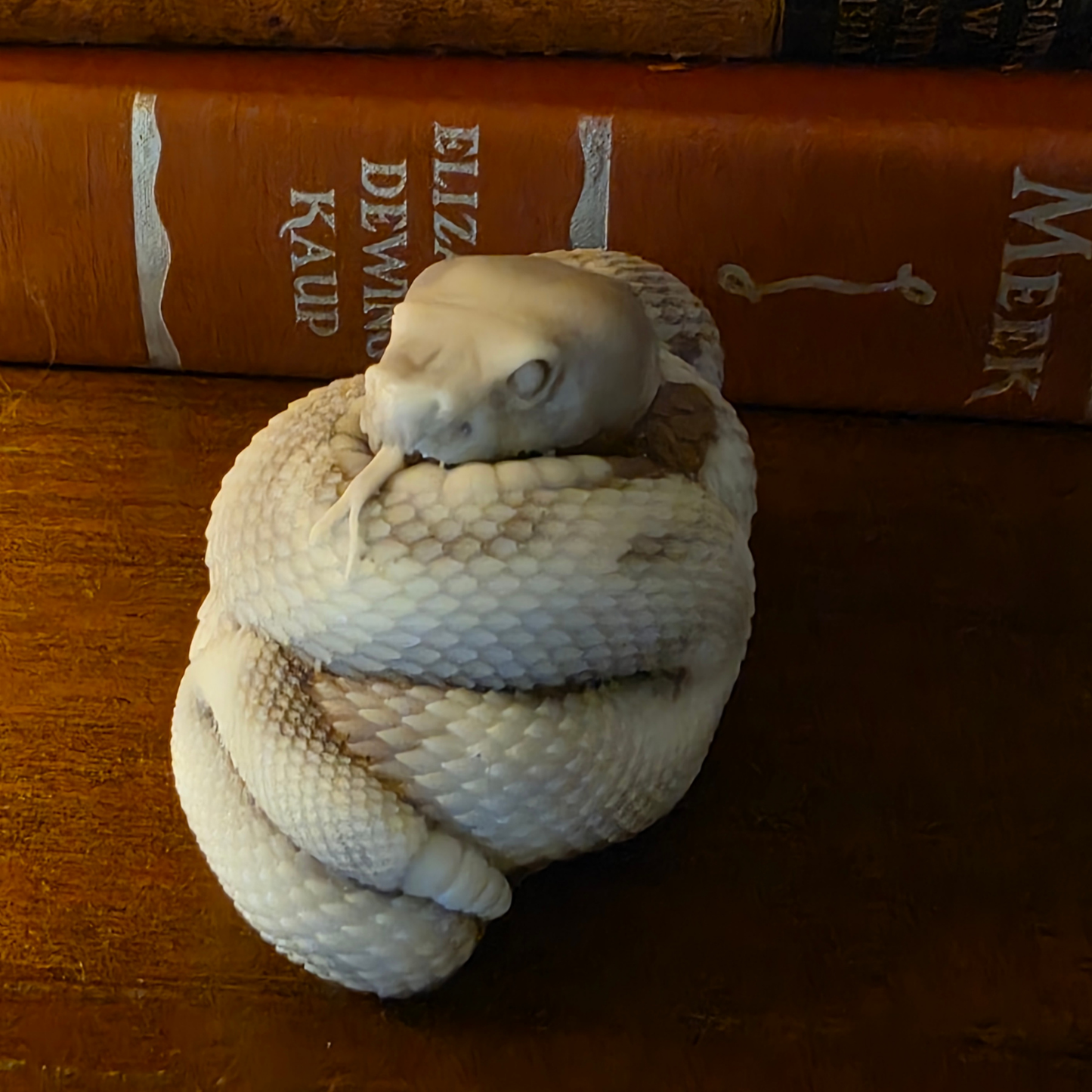 Ssssssoap