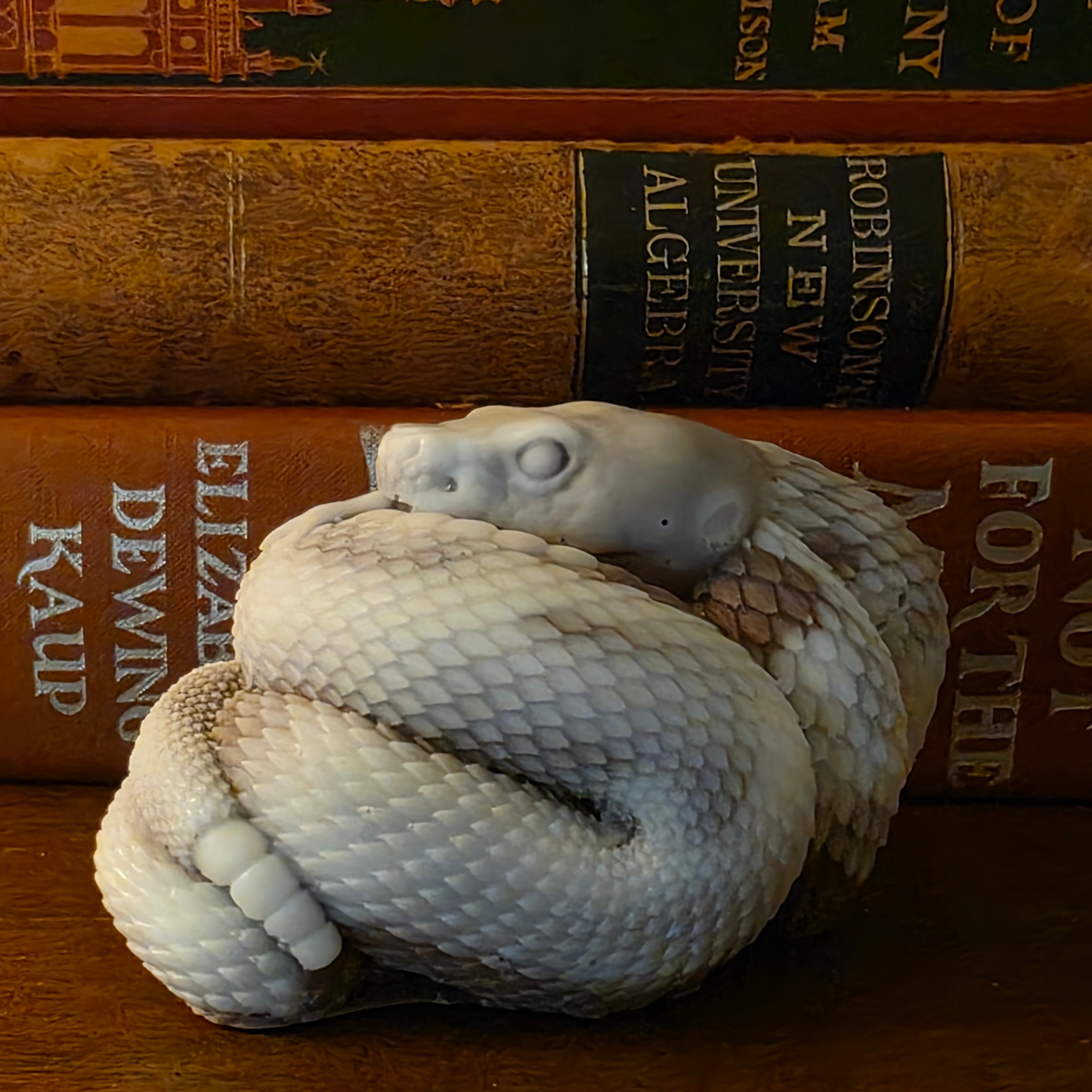 Ssssssoap